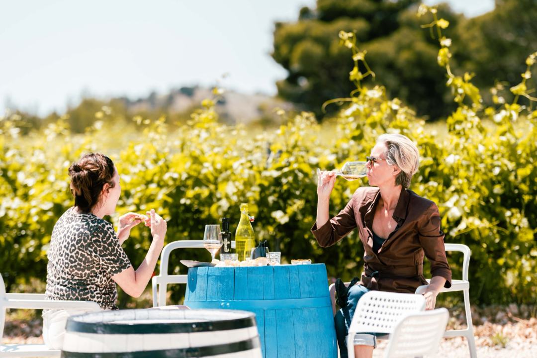 Iskoristite priliku za besplatan prijevoz mini busom u petak na Danima otvorenih kušaonica!