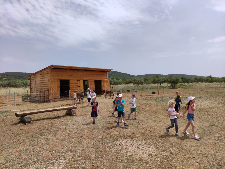 Tovarijada za djecu: Vrtiću Maslina u Tribunju u posjet došli prijatelji iz Benkovca i Trogira