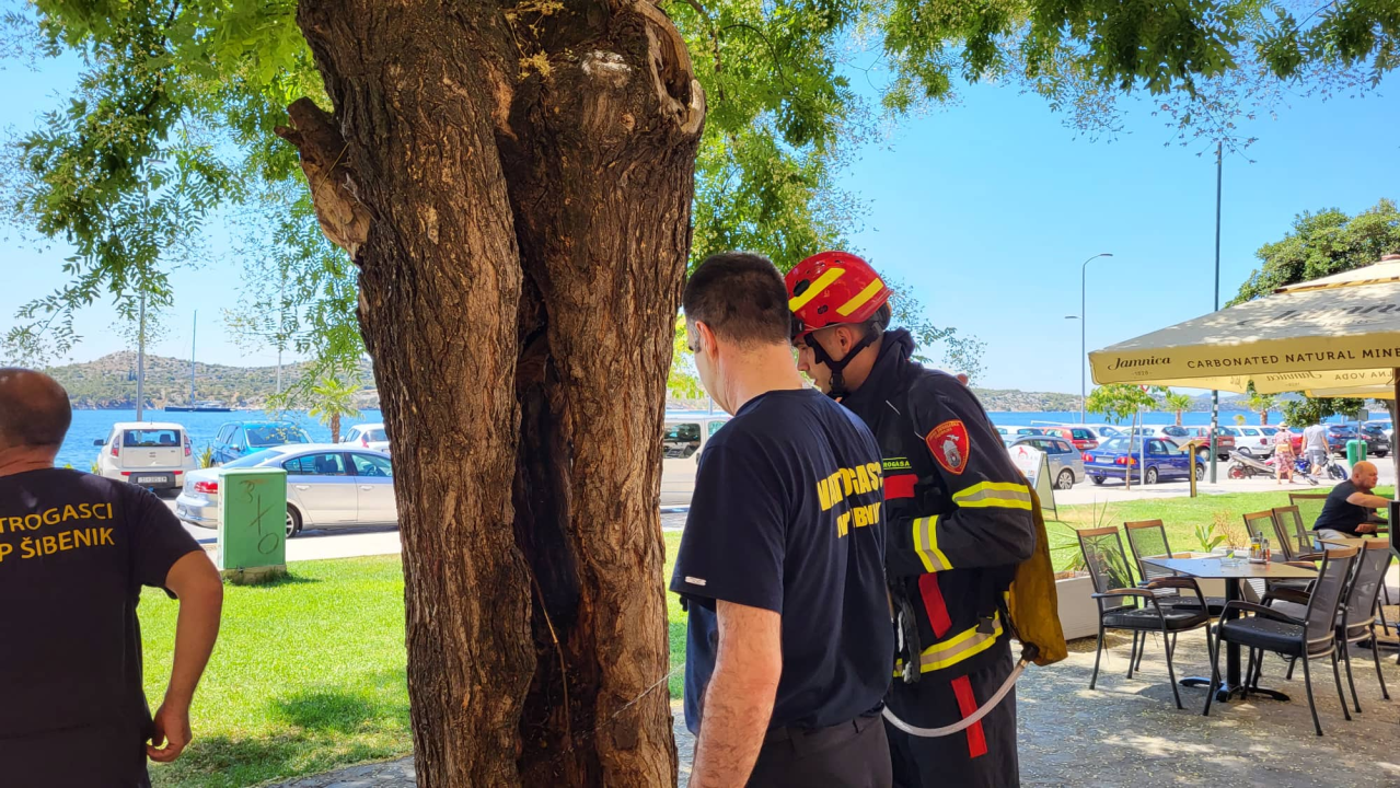 Zapalilo se stablo ispred Azimuta, svjedoci: 'Netko je bacio opušak'   
