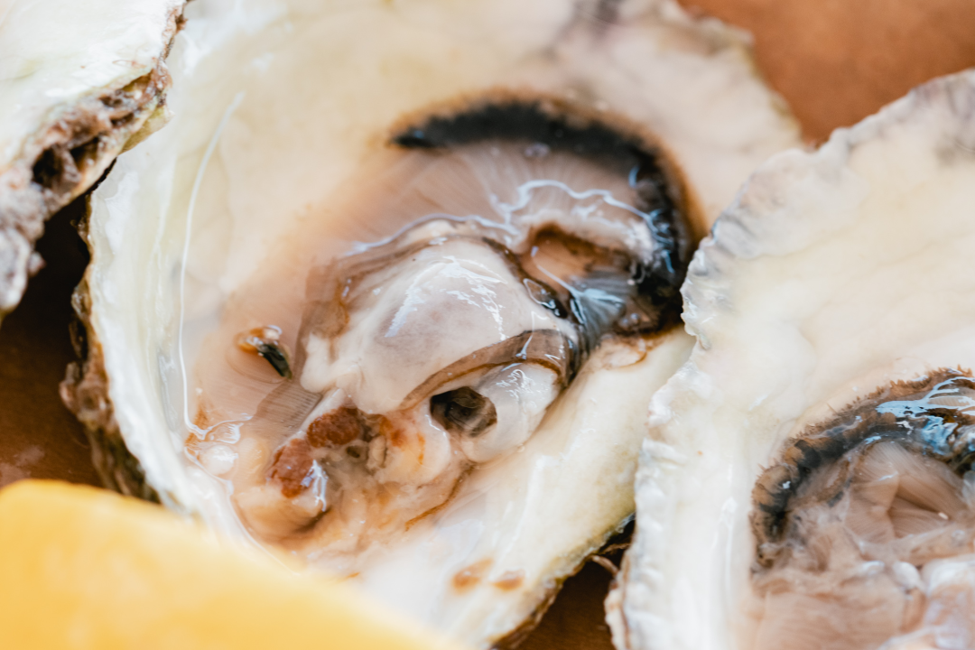 Posjetite novootvorenu kušaonicu školjaka i vina Oyster22! 