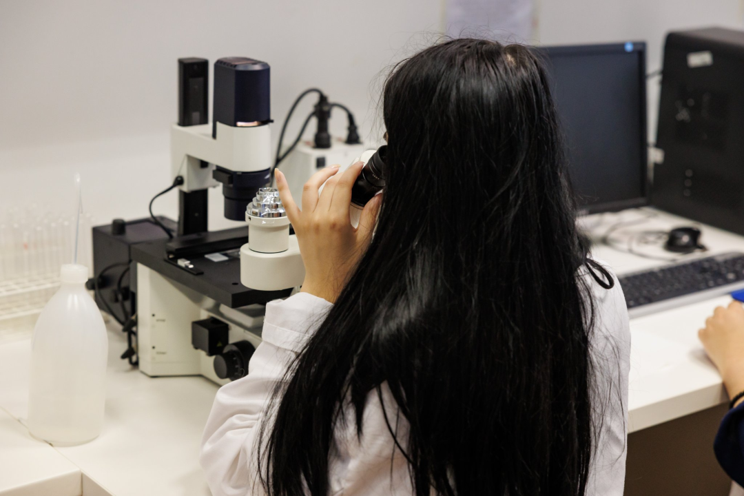 Upisi bez državne mature na stručne studije Veleučilišta „Marko Marulić“ u Kninu na trećem upisnom roku