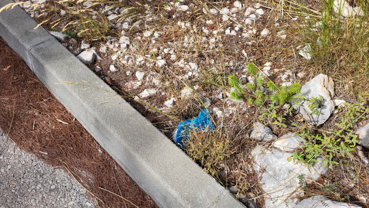 Sve više vlasnika pasa u Šibeniku usvaja novi trend: Dvostruko onečišćenje ulica i okoliša