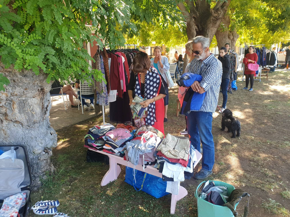 Buvljak ispred Azimuta: Uključile se i Šibenske šape, prihod ide za liječenje nezbrinutih i bolesnih životinja