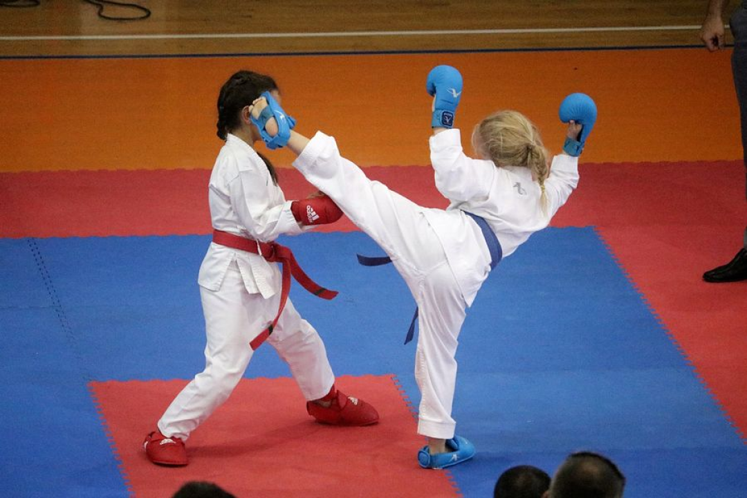 Karate poslastica na Baldekinu: Gotovo 500 natjecatelja, podignuta ljestvica kvalitete 
