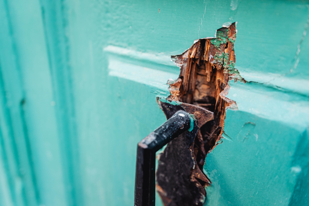 Studenti splitske akademije obnavljaju dva renesansna portala na ulazu u Muzej: ‘Ovo je velika čast’