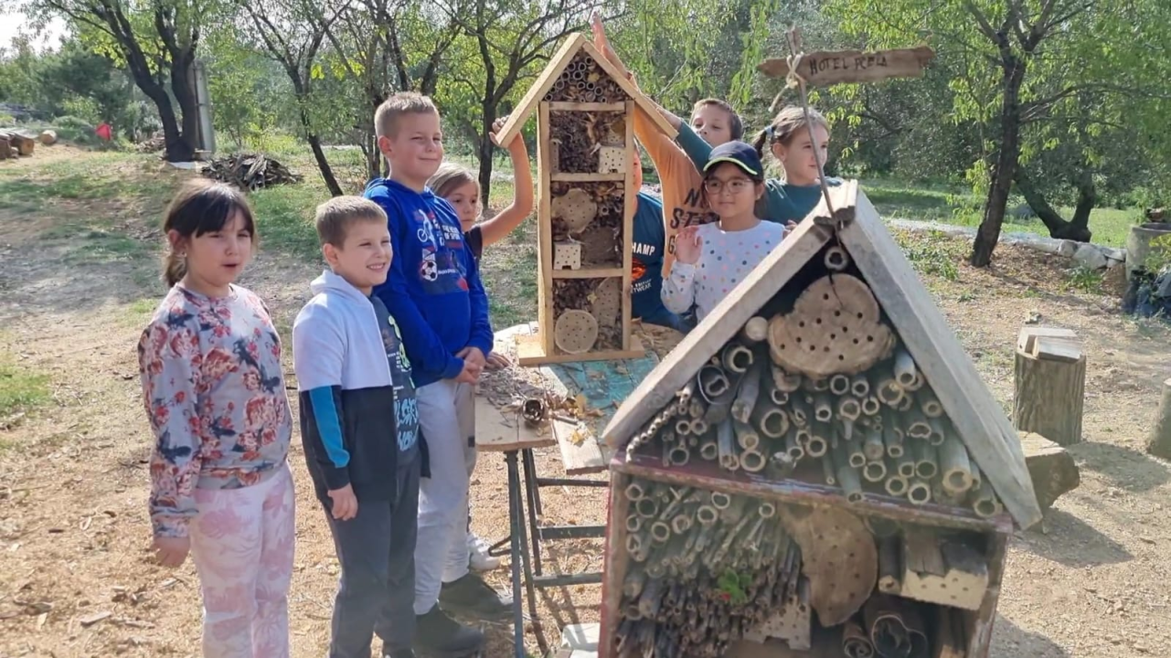 Učenici napravili hotel za pčele: 'Smješten je u dvorište škole, a djeca će pratiti rezervacije i popunjenost' 