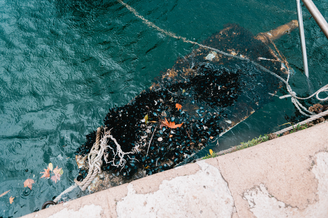 Dolac danas nije poplavio kao istarski gradovi, ali dokad će stanovnici strepiti sa svakim jugom?
