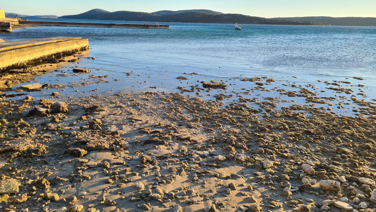 Prizor koji ne viđamo svaki dan: Velika oseka na Jadriji
