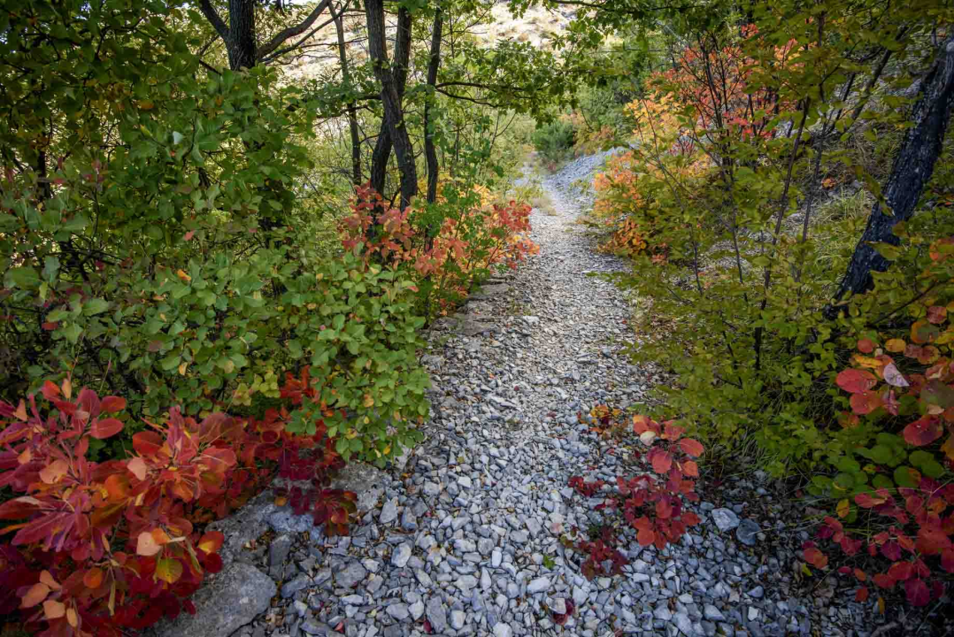 Posjeti NP "Krka" na Praznik rada, preuzmi svoju sadnicu i posadi je za budućnost!