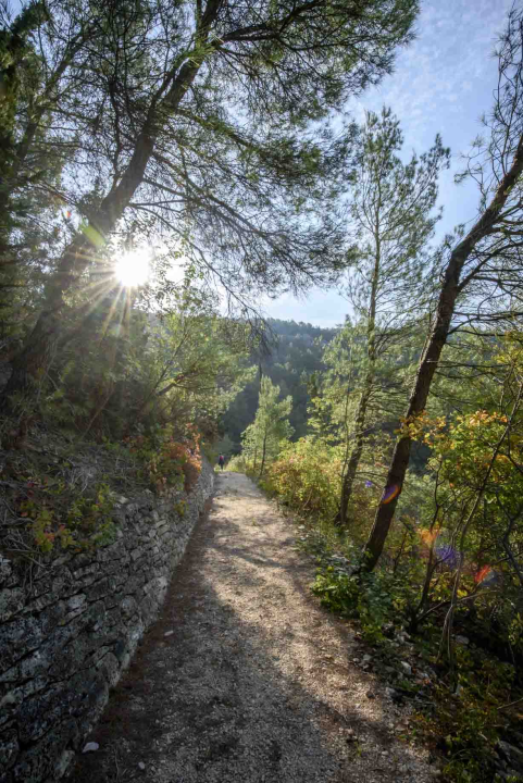 Posjeti NP "Krka" na Praznik rada, preuzmi svoju sadnicu i posadi je za budućnost!