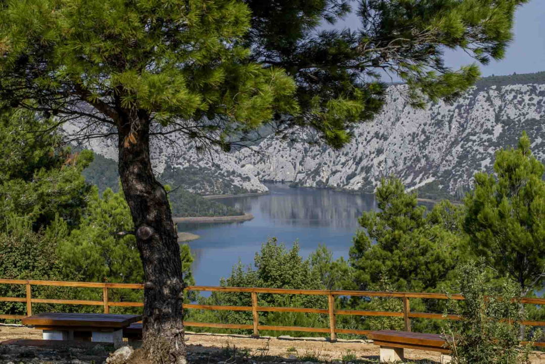 Posjeti NP "Krka" na Praznik rada, preuzmi svoju sadnicu i posadi je za budućnost!