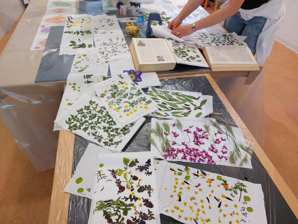 Učenici iz nekoliko europskih zemalja posjetili šibensku knjižnicu