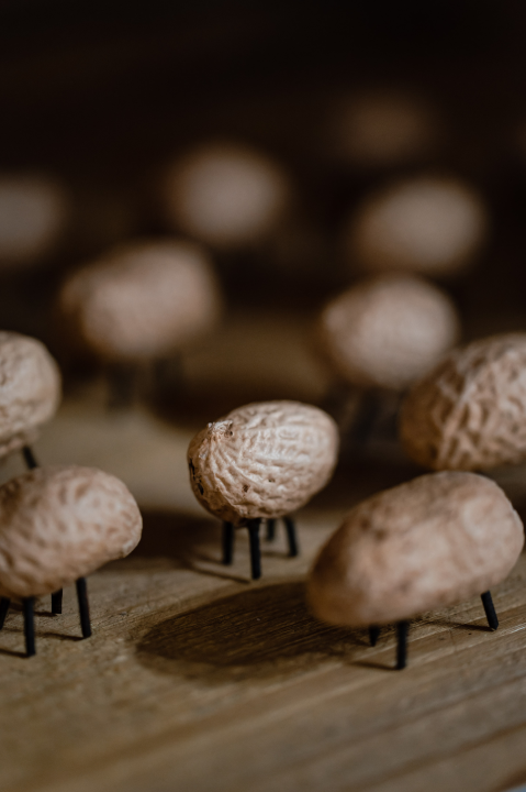 Ljubav Koraljka Grebena u Azimutu: 'Imam osjećaj da pripadam ovoj zajednici'