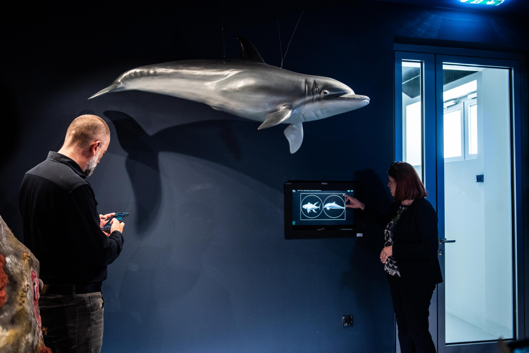 Posjetili smo posjetiteljski centar u Minerskoj: Virtualna stvarnost, povijest kanala sv. Ante, flora, fauna, podmorje… 