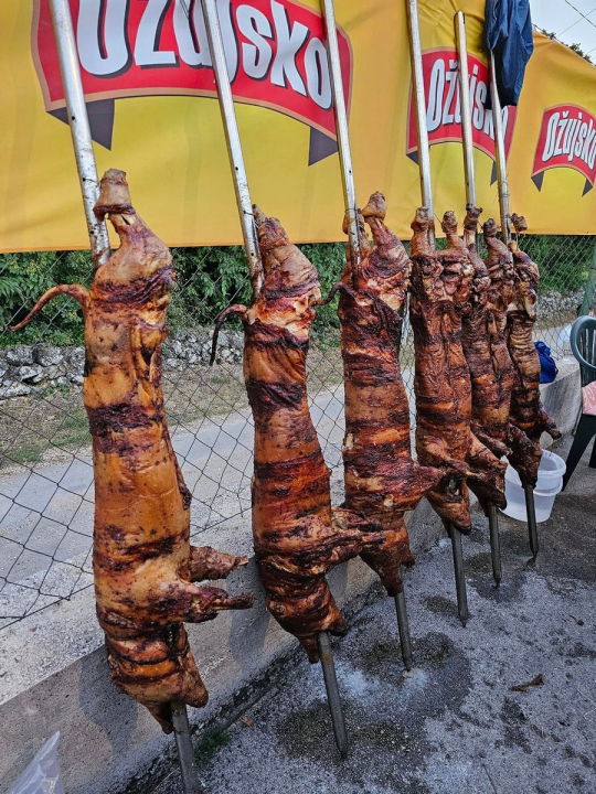 Na 16. 'Noći Zagore i gena kamenog' u Koprnu izabrani balotaš, izbijač bule, šijač i rezač pršuta godine