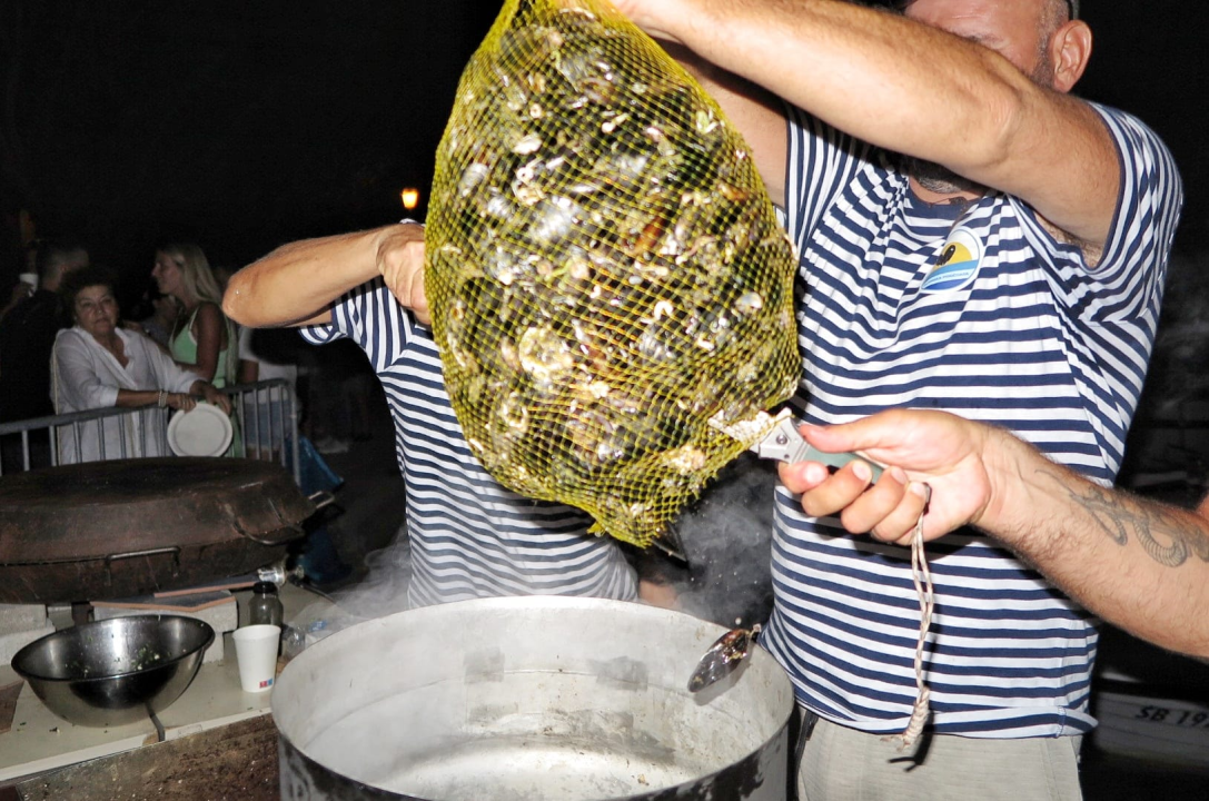 Pogledajte kako je bilo na tradicionalnoj Zatonskoj pidočijadi