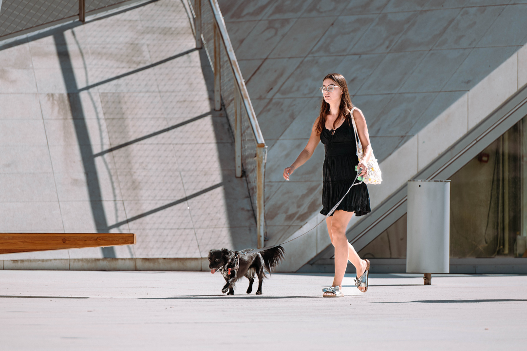 FOTO Đir po gradu, srijeda 6. rujna