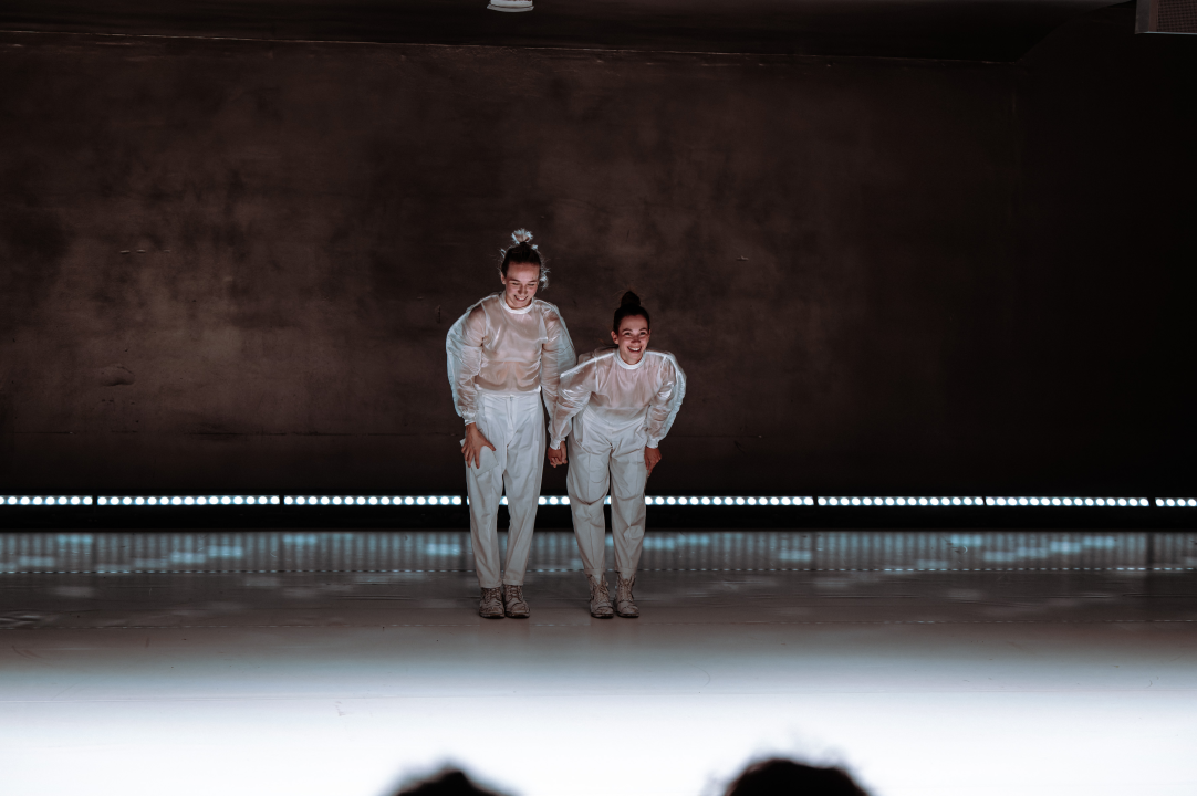 Strahovi malih razlika u Arsenu: Pitanja individualnog i kolektivnog, svjesnih i nesvjesnih obilježja sredine