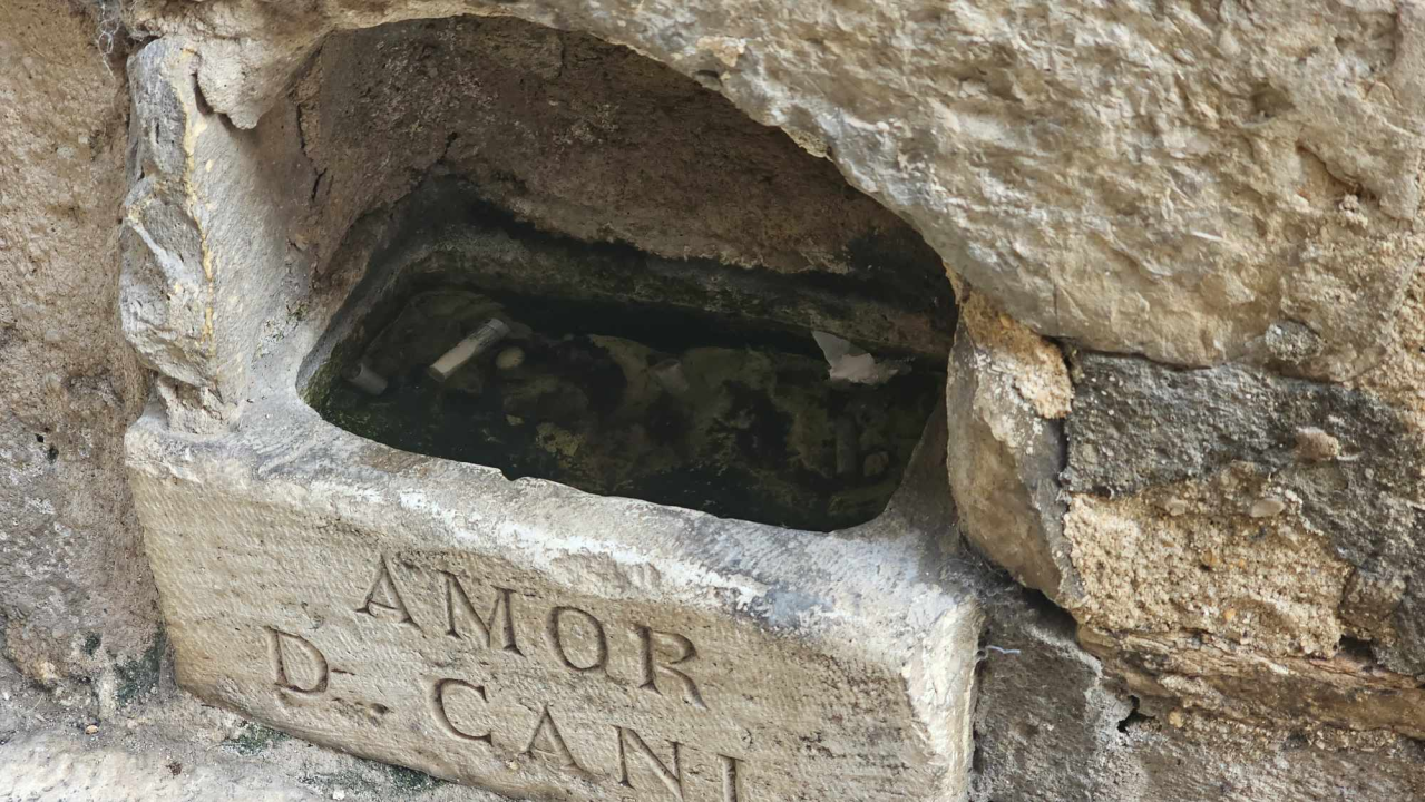 Kamene pojilice za pse na Meduliću nekima služe kao pepeljara