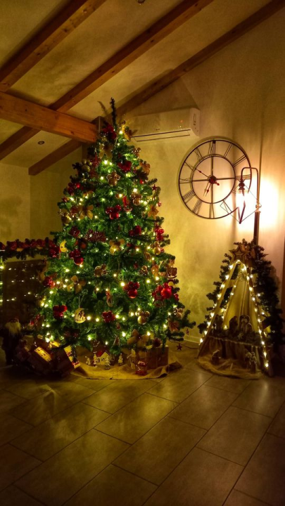 Provjerite tko su pobjednici izbora za naj jelku!