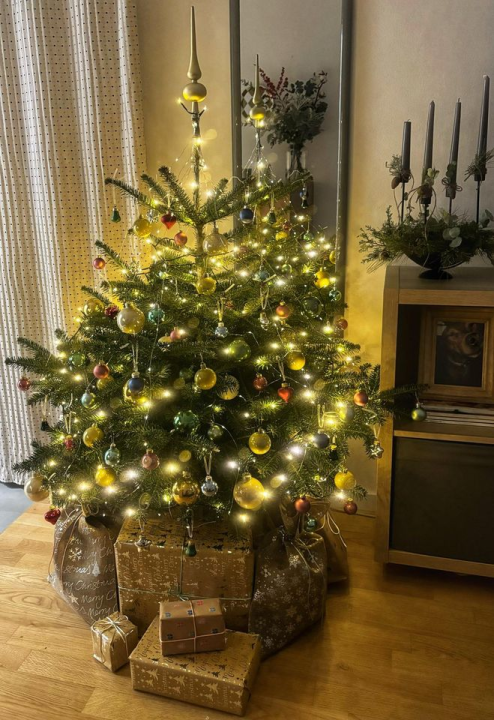 Provjerite tko su pobjednici izbora za naj jelku!