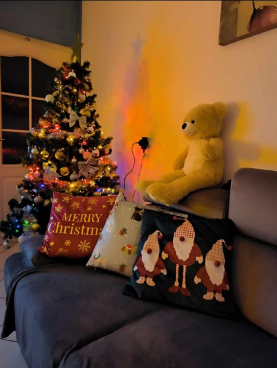 Provjerite tko su pobjednici izbora za naj jelku!