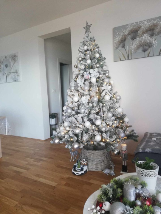 Provjerite tko su pobjednici izbora za naj jelku!