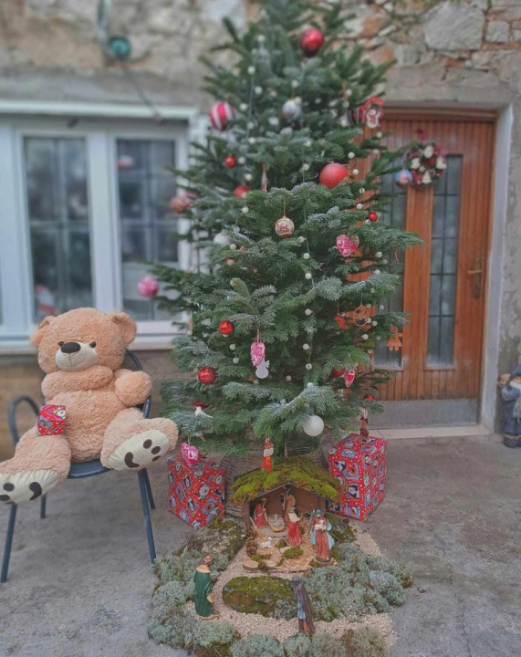 Provjerite tko su pobjednici izbora za naj jelku!