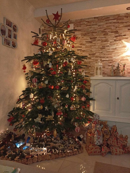 Provjerite tko su pobjednici izbora za naj jelku!