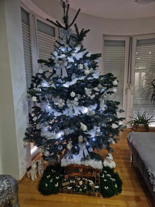 Provjerite tko su pobjednici izbora za naj jelku!