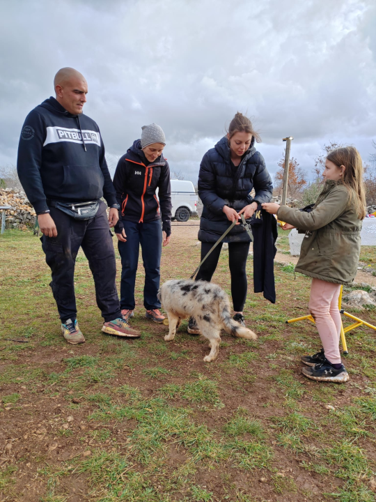 Marko Aleksić, interventni policajac i trener pasa: 'Odgoj psa treba shvatiti ozbiljno, a veću ljubav u životu nećete dobiti'