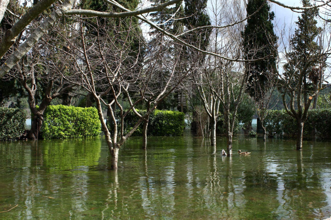 Visok vodostaj Krke poplavio dio Visovca