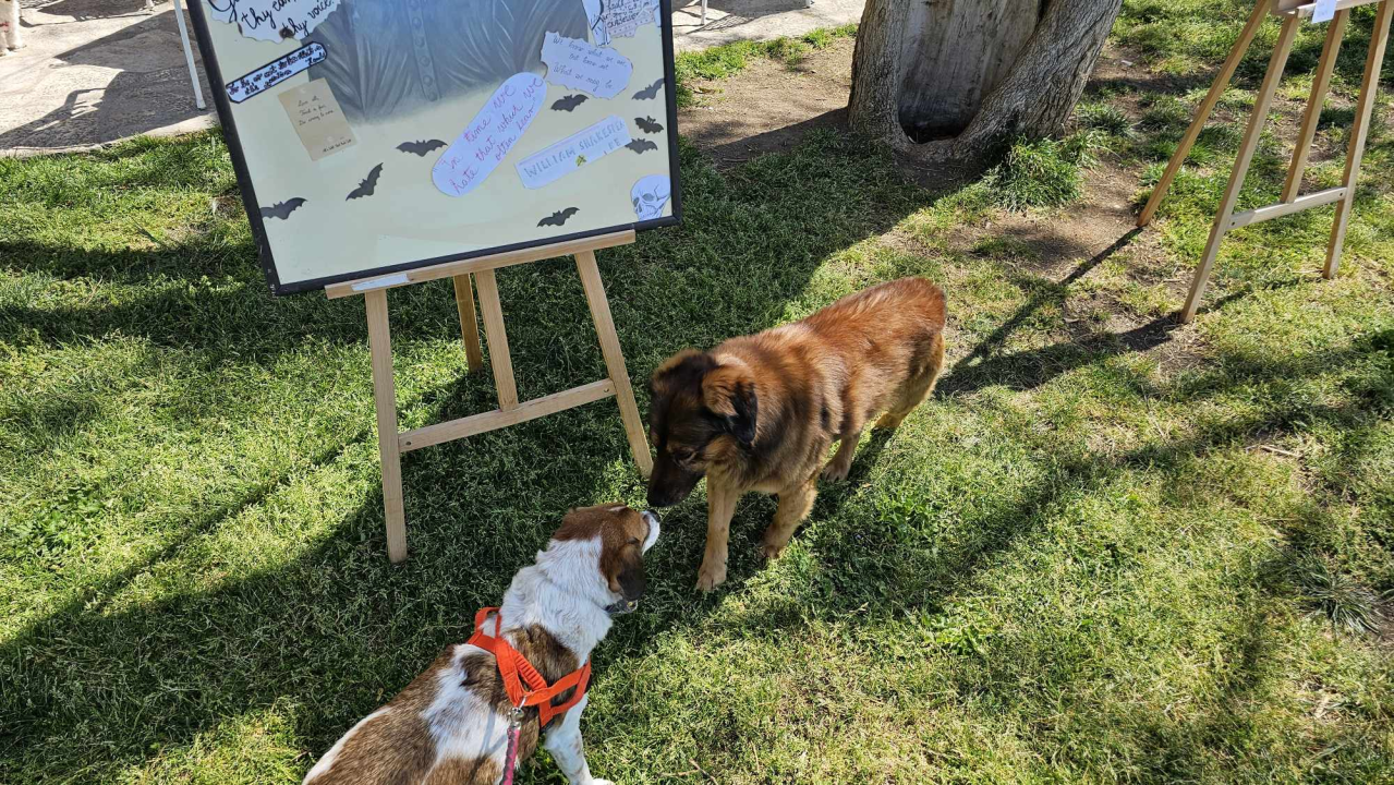 U Azimutu otvorena pop up izložba 'Ja umjetnik'