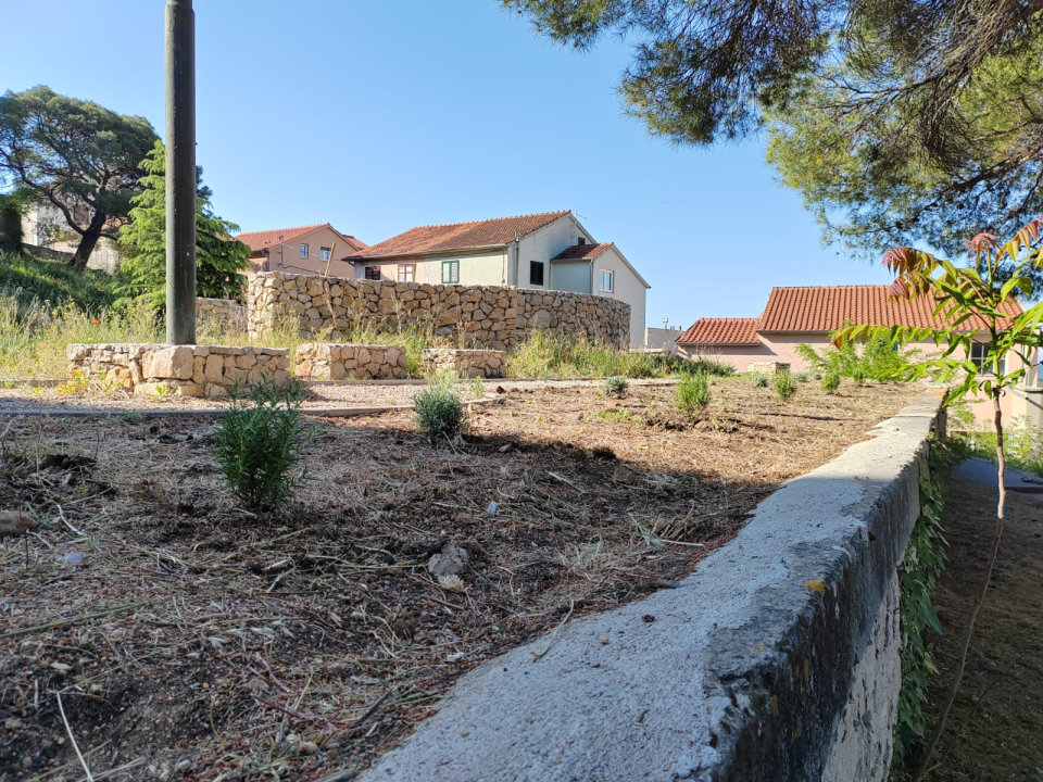 Učenici Ekonomske škole ispred glavnog ulaza posadili sadnice ljekovitog grmlja