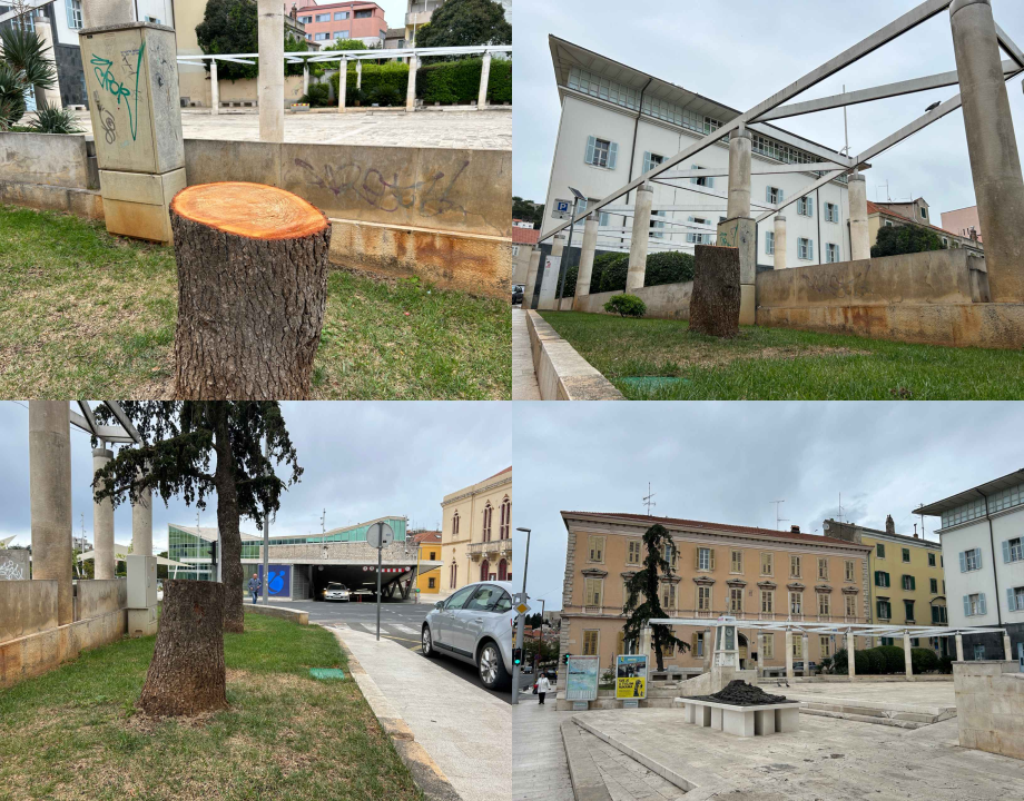 Stablo ispred Gradske uprave kapituliralo pred pilom: 'Počelo se sušiti pa smo uklonili zbog sigurnosti'