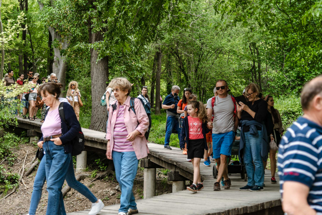 Podijeljeno tisuću sadnica lavande i lovora: 'Želimo očuvati naše ekosustave i poticati bioraznolikost' 