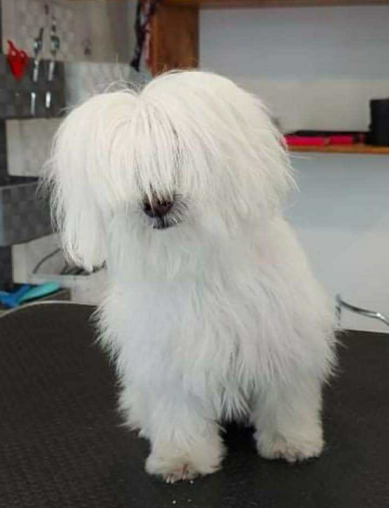 Provjerite tko su naj ljubimci 2024. godine!