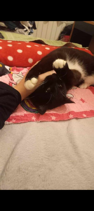 Omiljeni bistro Kod Starog odlično je odredište i u ljetnim danima!