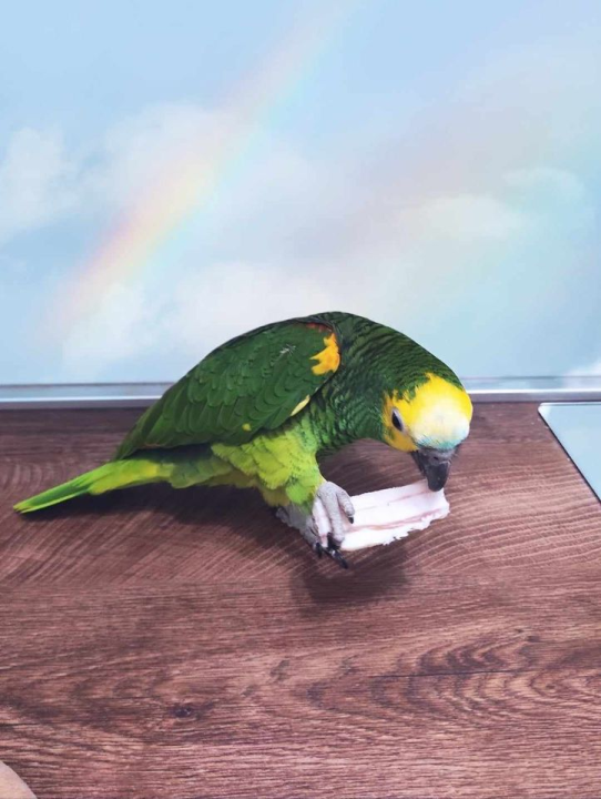 Provjerite tko su naj ljubimci 2024. godine!