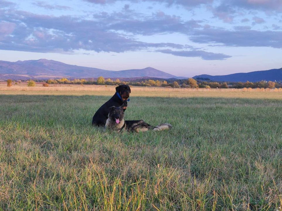 Provjerite tko su naj ljubimci 2024. godine!
