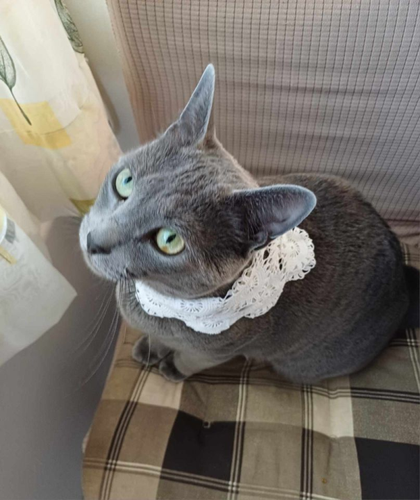 Provjerite tko su naj ljubimci 2024. godine!