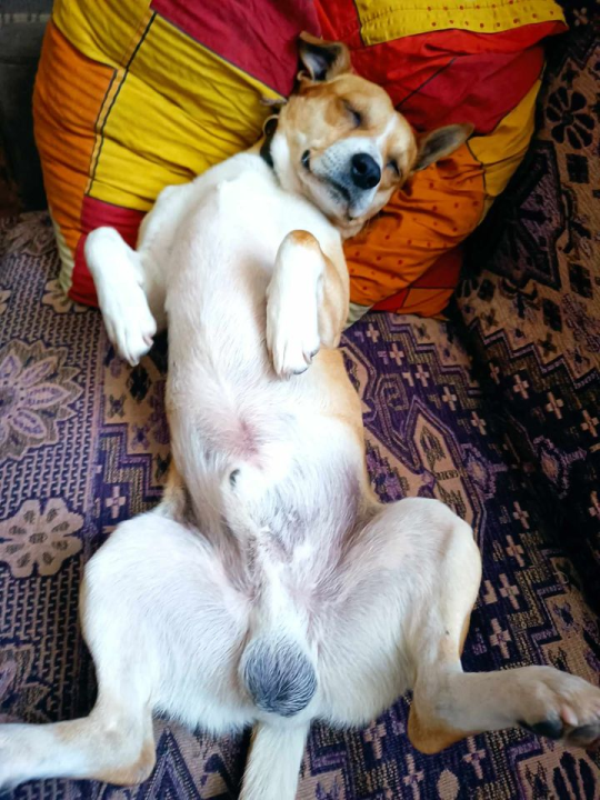 Provjerite tko su naj ljubimci 2024. godine!