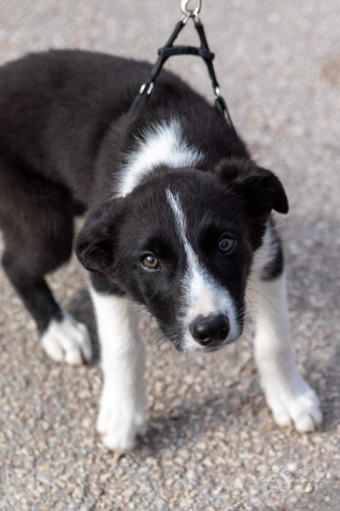 Omiljeni bistro Kod Starog odlično je odredište i u ljetnim danima!