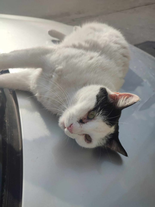 Provjerite tko su naj ljubimci 2024. godine!