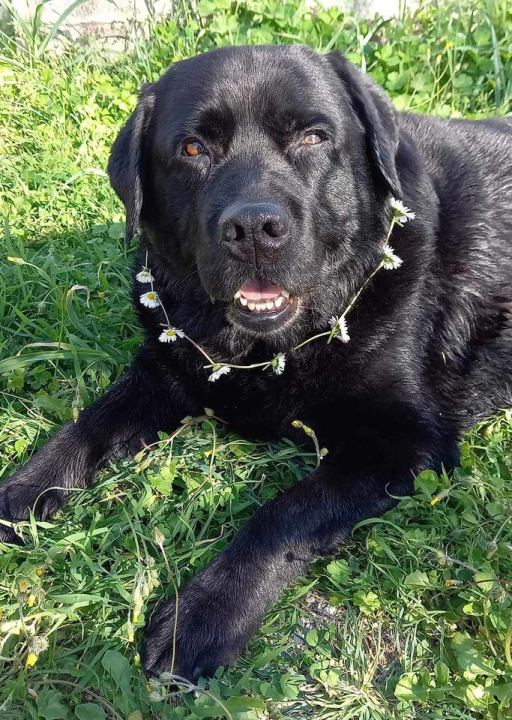 Omiljeni bistro Kod Starog odlično je odredište i u ljetnim danima!