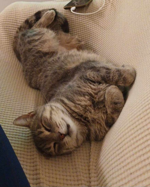 Omiljeni bistro Kod Starog odlično je odredište i u ljetnim danima!