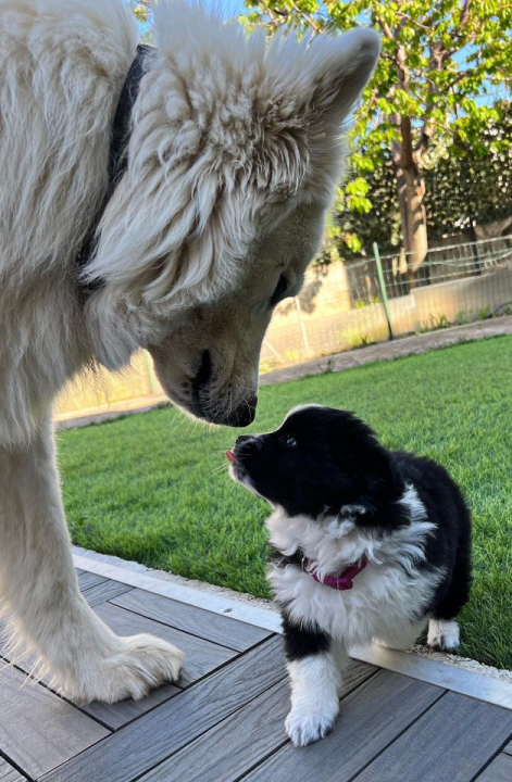 Provjerite tko su naj ljubimci 2024. godine!
