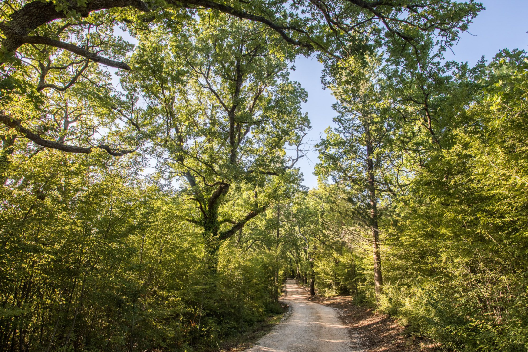  'Punjenje baterija' u Nacionalnom parku Krka, idealnom mjestu za odmor i rekreaciju