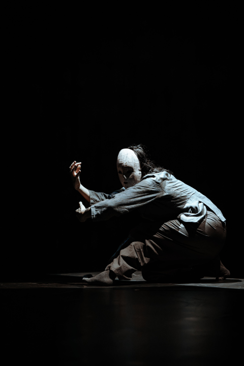 PUPO na sv. Mihovilu: Priča inspirirana Pinocchijom u plesnom remek-djelu talijanskih umjetnika