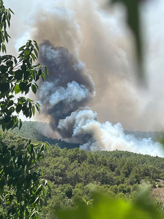 Preko 120 vatrogasaca bori se s požarom: 'Postoji šansa da se proširi u pravcu Dubravica i NP Krka'